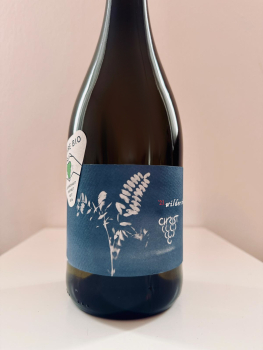 2021-er Wilder Riesling Landwein Main trocken - Weingut Helmut Christ