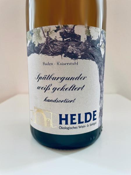 2021-er Spätburgunder weiss gekeltert QbA trocken - Ökologisches Wein- und Sektgut Helde
